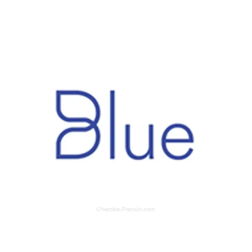 Logo Blue - Le grand ménage