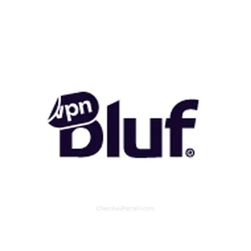 Logo BlufVPN