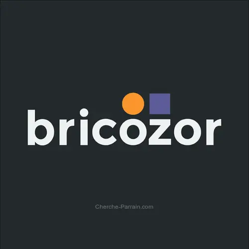 Logo Bricozor