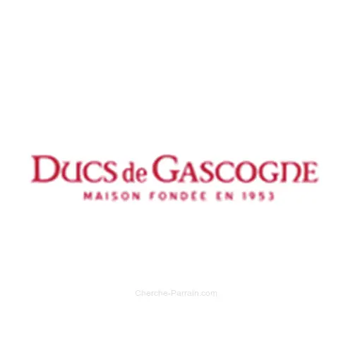 Logo Ducs de Gascogne